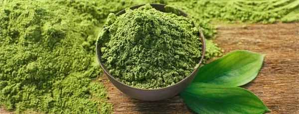 Natural plant-based ingredients used in SodaSlim